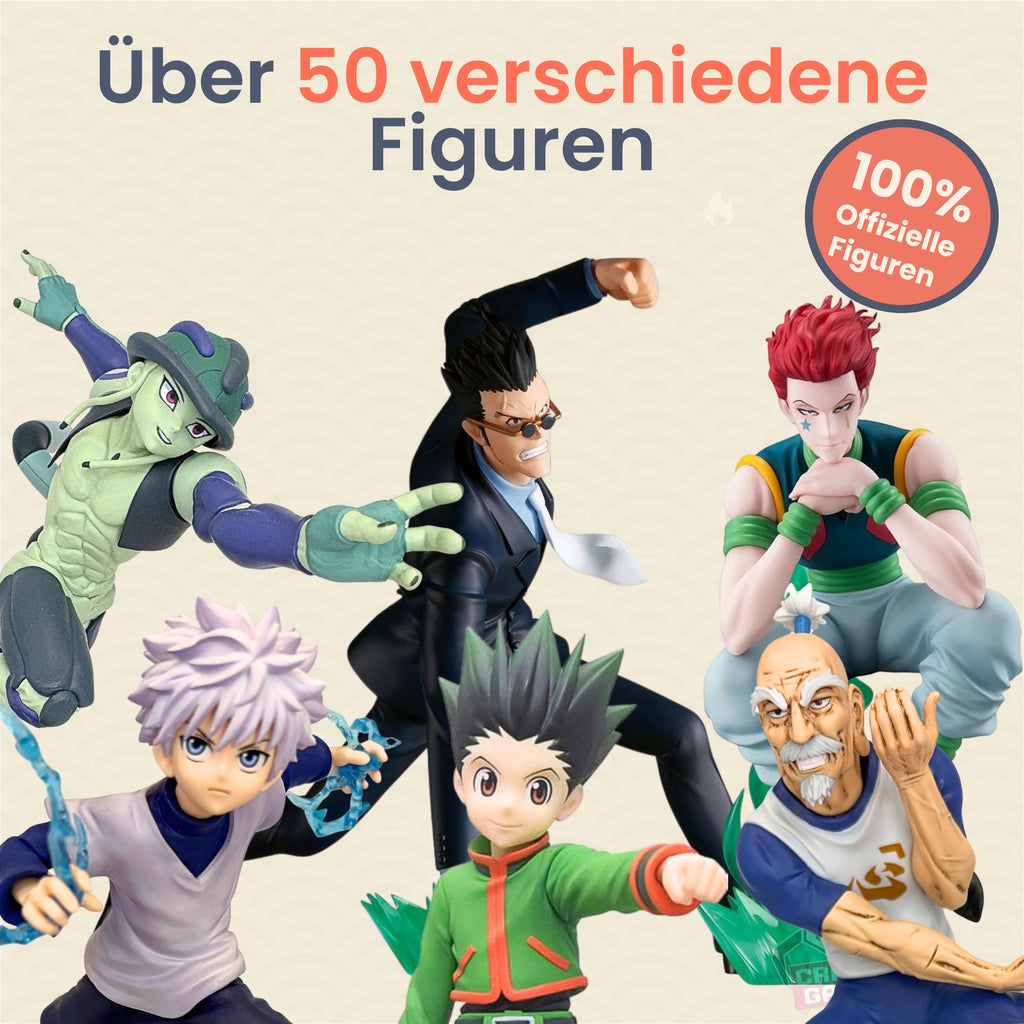 Die Hunter x Hunter Mystery Box 🦖