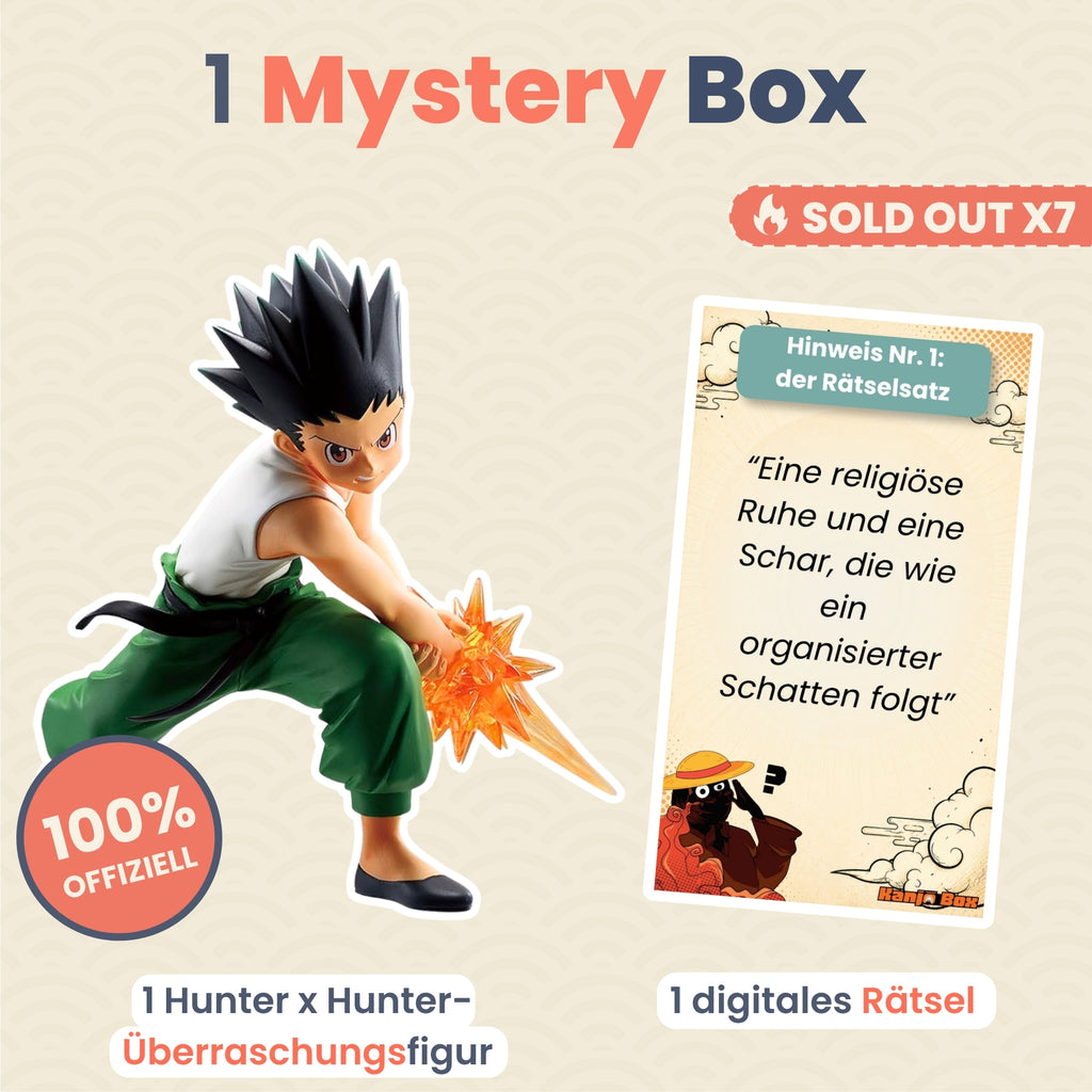 Die Hunter x Hunter Mystery Box 🦖
