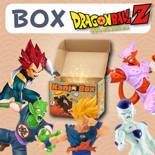 Die Dragon Ball Mystery Box 🐉