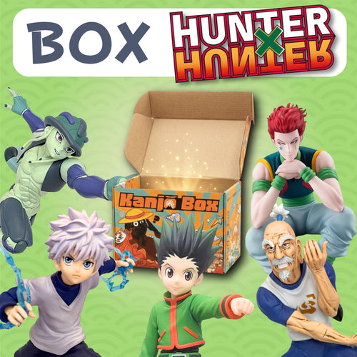 Die Hunter x Hunter Mystery Box 🦖