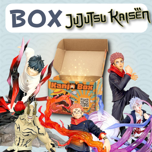 Die Jujutsu Kaisen Mystery Box 🔮