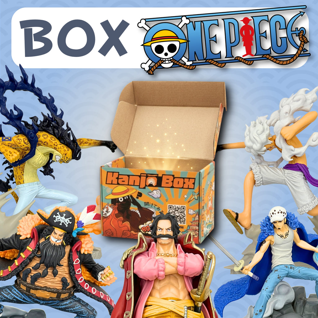 Die One Piece Mystery Box 🏴‍☠️