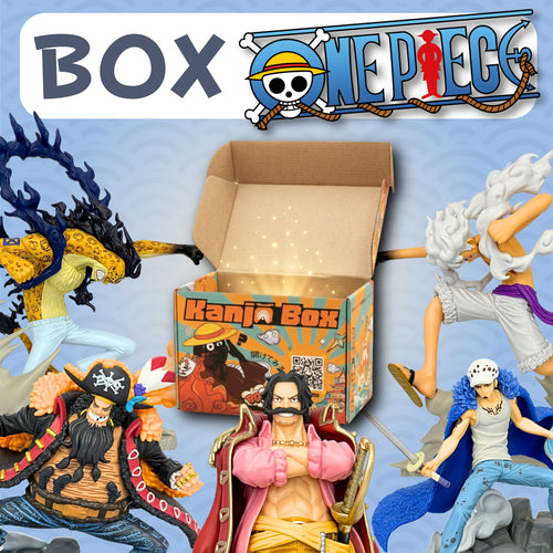 Die One Piece Mystery Box 🏴‍☠️