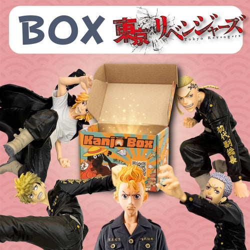Die Tokyo Revengers Mystery Box 👊🏼